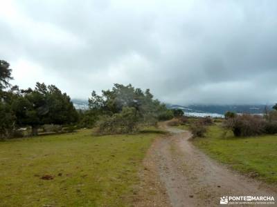 Acebos y Enebral de Prádena; la horizontal ruta cercedilla rutas montaña cultura viajes